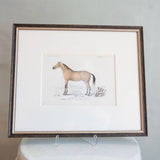 Framed Horse Engraving