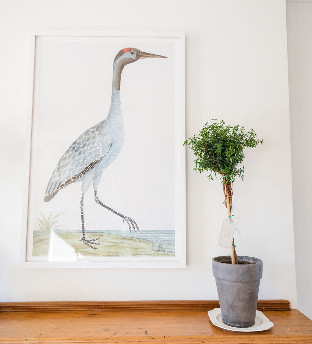 Framed artwork of a crane on a wall next to a potted plant.